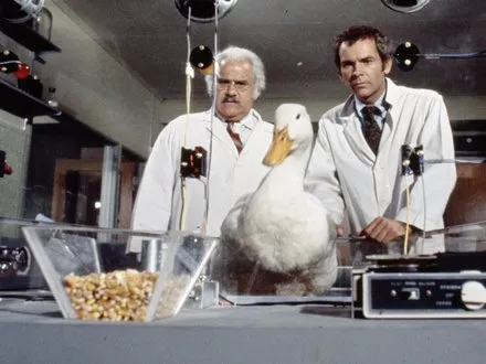 утка за млн.jpeg